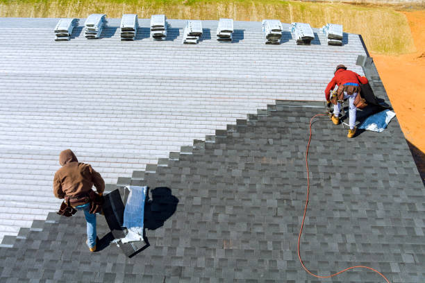 Best Roof Gutter Cleaning  in Baidland, PA